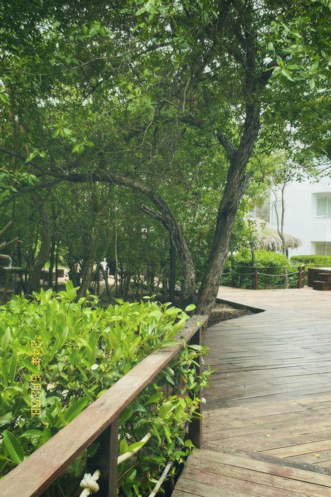 Santo Manglar Cartagena Life Wellness Spa Hotel Exterior photo